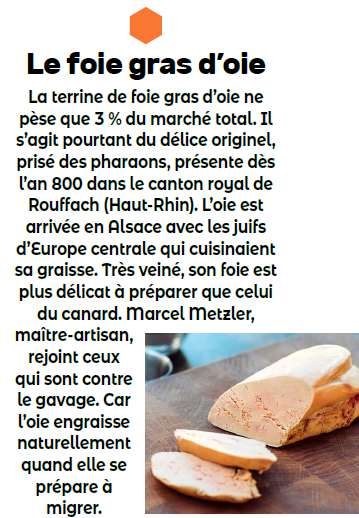 Foie Gras d'oie entier semi-conserve - Foie gras Canoie