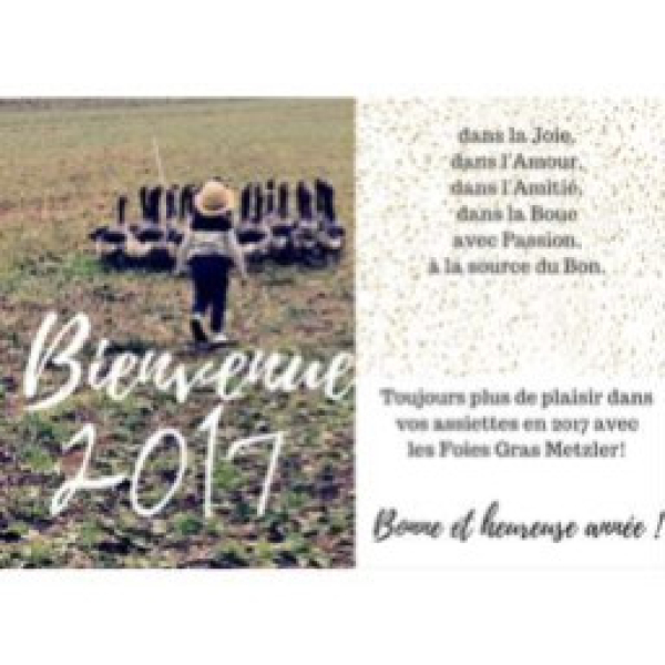 Bonne Année 2017 !