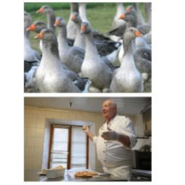 Un foie gras "éthique" au menu